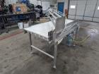 Belt Conveyor With Side Reject – Stainless Steel, Pneumatic Gate